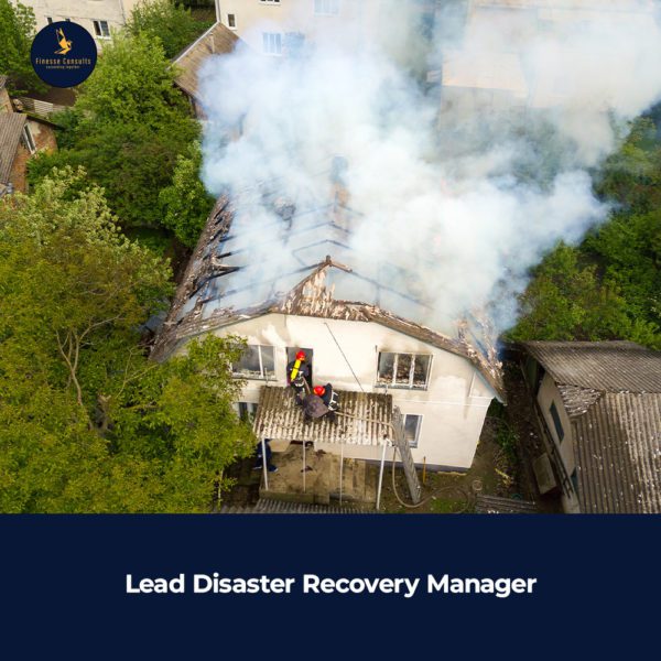 Lead Disaster Recovery Manager