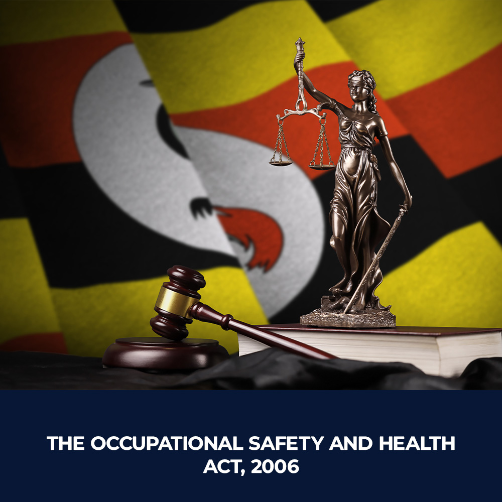 The occupational health and safety act